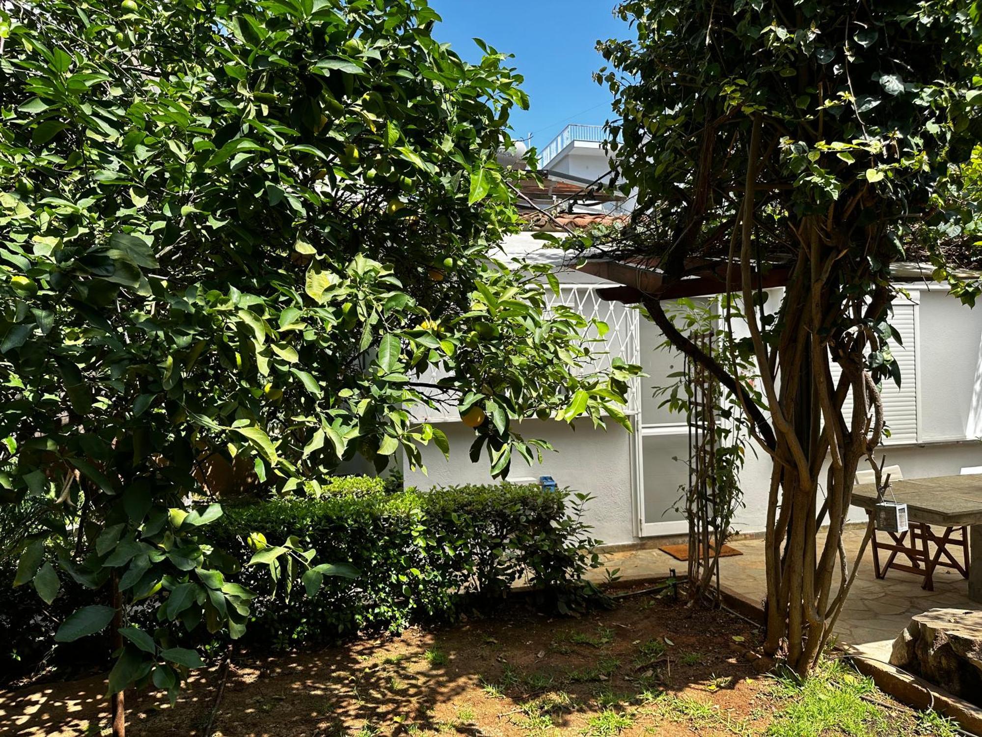アテネAntonis'S Garden Houseアパートメント エクステリア 写真